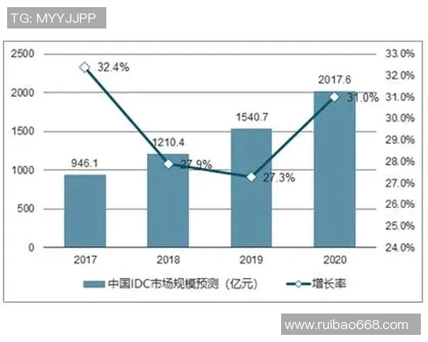 英超体育用品在中国市场的销售策略与发展前景分析